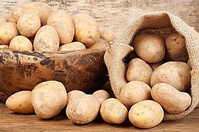 卡普空上线特设网站 公布今年 TGS 部分计划